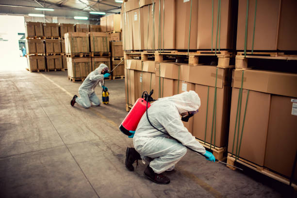 Best Mosquito Control Services  in Waterville, ME